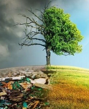 Services,E-waste Services,Scrap Services,ITAD Services